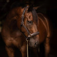 Load image into Gallery viewer, Henri de Rivel Stress Free Halter With Fancy Contrast Stitching - image 8