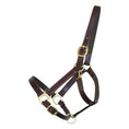Load image into Gallery viewer, Henri de Rivel Leather Turnout Halters With Snap - image 2