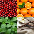 Load image into Gallery viewer, Frosted Cranberry Mandarin Candle - Southlake Paws