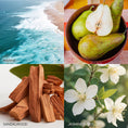 Load image into Gallery viewer, Calming Peace & Joy Candle - Southlake Paws