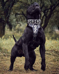 Load image into Gallery viewer, "Hektor" collar