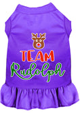 Load image into Gallery viewer, Christmas Pet Dress Screen Printed, "Team Rudolph"