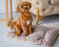 Load image into Gallery viewer, Tomas Pillow for Small Dogs - Southlake Paws