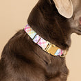 Load image into Gallery viewer, Minka Dog Collar