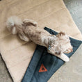 Load image into Gallery viewer, Nooee Pet Mat Jackson