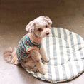 Load image into Gallery viewer, Nooee Pet Replacement Cushion
