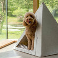 Load image into Gallery viewer, Nooee Pet Teepee Tucker (L)