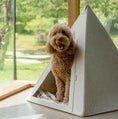 Load image into Gallery viewer, Nooee Pet Teepee Tucker (L)