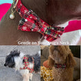 Load image into Gallery viewer, Christmas Red Star Plaid Set