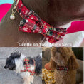 Load image into Gallery viewer, Christmas Red Star Plaid Set