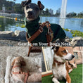 Load image into Gallery viewer, Classic Brown Plaid Set