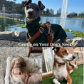 Load image into Gallery viewer, Classic Brown Plaid Set