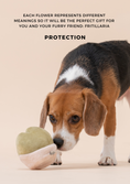 Load image into Gallery viewer, PARADISE PET TOY- Fritillaria