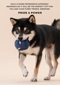 Load image into Gallery viewer, PARADISE PET TOY- Anemone