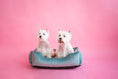 Load image into Gallery viewer, Velvet Dog Bed Dreamer - Southlake Paws