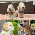 Load image into Gallery viewer, Autumn Blue Plaid Set