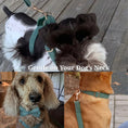 Load image into Gallery viewer, Dark Green Corduroy Set