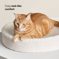 Load image into Gallery viewer, Kip Cat Cushion