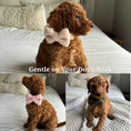 Load image into Gallery viewer, Light Blue Teddy Set
