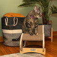 Load image into Gallery viewer, Armarkat Real Wood Cat Rocking Chair - Medium