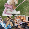 Load image into Gallery viewer, Dusty Pink Velvet Set