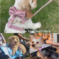 Load image into Gallery viewer, Dusty Pink Velvet Set
