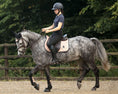 Load image into Gallery viewer, Rose Quartz Saddle Pad Set