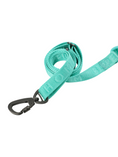 Load image into Gallery viewer, PADDED ACTIVE PET LEASH - MINT GREEN