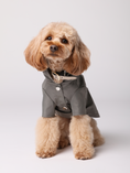 Load image into Gallery viewer, BOWERY RAINCOAT - GRAY