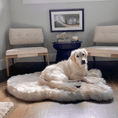 Load image into Gallery viewer, PupRug Faux Fur Orthopedic Dog Bed - Curve White with Brown Accents - Southlake Paws