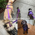 Load image into Gallery viewer, Velvet Purple Set