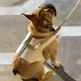 Load image into Gallery viewer, Personalized Canvas Dog Harness Vest