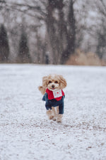Love Note Reversible Handmade Bandana