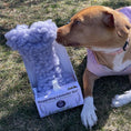 Load image into Gallery viewer, HuggleHug™ Lavender Bone & 2oz Calming Spray Dog Toy Set - image 8