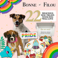 Load image into Gallery viewer, Pride Themed Dog Treats Gift Box