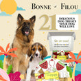 Load image into Gallery viewer, Summer Themed Dog Treats Gift Box