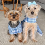 Gingham Picnic Dress