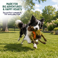 Load image into Gallery viewer, Dog Toys Premium Milo Moose Plush Dog Toy Knottie®