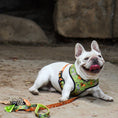 Load image into Gallery viewer, Wild Thing Reversible Harness - Southlake Paws