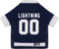 Load image into Gallery viewer, NHL Tampa Bay Lightning Mesh Dog Jersey