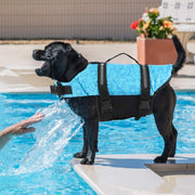 Paws & Bones Dog Life Jacket