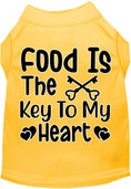 Load image into Gallery viewer, Fun Cat or Dog Shirt for Pets "Food is the Key"