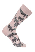 Load image into Gallery viewer, AWST Int'l Donkey Love Socks 6 pack