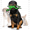 Load image into Gallery viewer, tuffy® Desert Series - Phrog Leaping