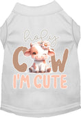 Load image into Gallery viewer, Adorable Cat or Dog Shirt for Pets "Holy Cow, I'm Cute"