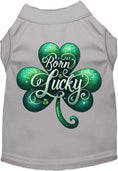 Load image into Gallery viewer, Adorable Cat or Dog Shirt for Pets "A's Born Lucky"