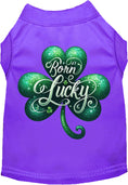 Load image into Gallery viewer, Adorable Cat or Dog Shirt for Pets "A's Born Lucky"