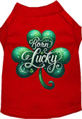Load image into Gallery viewer, Adorable Cat or Dog Shirt for Pets "A's Born Lucky"