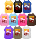 Load image into Gallery viewer, Adorable Cat or Dog Shirt for Pets "Beach Vibes"