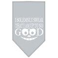 Load image into Gallery viewer, Pet and Dog Bandana, "I Solemnly Swear That I Am Up To No Good"